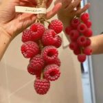 قالب سيليكون توت 35 قطعة ترند عنقود الصابون الجديد