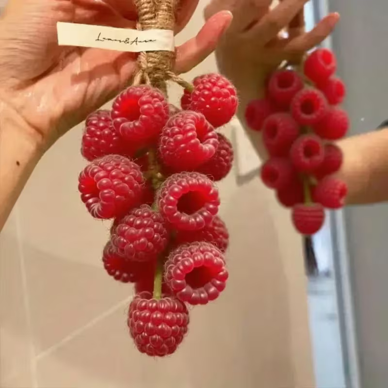 قالب سيليكون توت 35 قطعة ترند عنقود الصابون الجديد قالب سيليكون توت 35 قطعة ترند عنقود الصابون الجديد